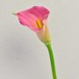 Calla artificiale TALEA, fucsia, 65cm, 9x11cm
