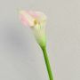 Calla artificiale TALEA, bianco-rosa, 65cm, 9x11cm