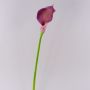 Calla sintetica TERESA, viola, 70cm, 10x18cm