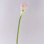Calla sintetica TERESA, bianco-rosa, 70cm, 10x18cm
