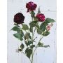 Ramo di rosa vellutata UMMA, rosso-bordeaux, 80cm, Ø5-7cm