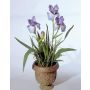 Iris artificiale LALANI in vaso decorativo, viola-blu, 100cm