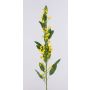 Euphorbia polychroma artificiale FILIPPE con fiori, giallo, 105cm