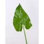 Foglia finta di calla FRANSCHESKA, verde, 70cm