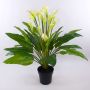 Calla artificiale LAURENCE, bianco, 130cm, 8x13cm
