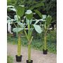 Banano artificiale PENDRA, 240cm