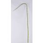 Ramo di spine di rose artificiali ALOISA, verde-marrone, 180cm