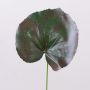 Foglia di geranio artificiale HEIDEGARD, verde-rosso, 38cm, Ø14cm