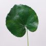 Foglia di geranio artificiale HEIDEGARD, verde, 38cm, Ø14cm