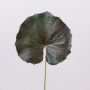 Foglia di geranio artificiale HEIDEGARD, verde-rosso, 38cm, Ø13cm
