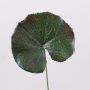 Foglia di geranio artificiale HEIDEGARD, verde-rosso, 38cm, Ø11cm