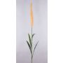 Pennisetum finto LEBRERO con pannocchie, giallo, 175cm