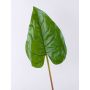 Foglia artificiale di anturio NORMAN, verde, 110cm