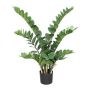 Pianta artificiale Zamioculcas AHLEON, 90 cm