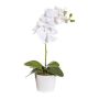 Fiore decorativo Phalaenopsis orchidea TRALKE, bastoncino, radici, bianco, 40 cm