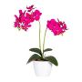 Fiore decorativo orchidea Phalaenopsis FRUXO, bastoncino, radici, rosa, 50 cm