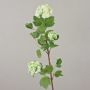 Viburnum artificiale DJAMILA, bianco-verde, 75cm