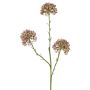 Ramo decorativo Allium ALIKIO, viola, 65 cm, Ø 6,5 cm