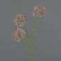 Ramo decorativo Allium ALIKIO, viola, 65 cm, Ø 6,5 cm