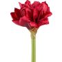 Fiore artificiale amarillide GRILVE, rosso, 55 cm