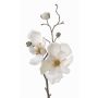 Ramo di magnolia artificiale MALBINE, bianco, 50cm, Ø7-10cm