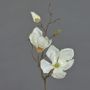 Ramo di magnolia artificiale MALBINE, crema, 50cm, Ø6-10cm