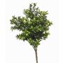 Pianta artificiale bosso TOM su bastone, crossdoor, 30 cm
