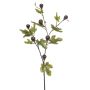 Ramo decorativo di fico PROWER con frutti, verde, 90 cm