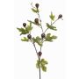 Ramo decorativo di fico PROWER con frutti, verde, 90 cm
