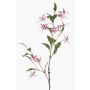 Ramo decorativo fucsia FROWEL, rosa-bianco, 95 cm