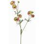 Ranuncolo artificiale YARIS, verde-fucsia, 65cm, Ø3-4,5cm