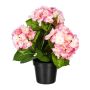Fiore decorativo ortensia SLORFIN in vaso decorativo nero, rosa, 30 cm