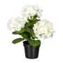 Fiore decorativo ortensia SLORFIN in vaso decorativo nero, bianco, 30 cm