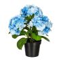 Fiore decorativo ortensia SLORFIN in vaso decorativo nero, blu, 30 cm