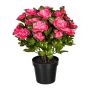 Fiore artificiale azalea WHENFA in vaso decorativo nero, rosa scuro, 30 cm