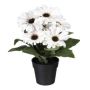 Fiore artificiale Gerbera KROLVEN in vaso decorativo nero, crema, 27 cm