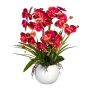 Composizione floreale artificiale orchidea Phalaenopsis TRALFEN con erba, vaso in ceramica, radici, rosa-verde, 60 cm