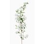 Ramo artificiale di gelsomino KLONDA, bianco, 140 cm