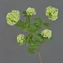 Bucaneve artificiale JIVA, verde, 50cm, Ø4-7cm
