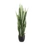 Pianta artificiale succulenta Sansevieria PLINK in vaso decorativo, verde, 110 cm