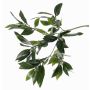 Ramo di alloro sintetico NAGISA, verde, 50cm