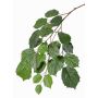 Ramo di tiglio finto ANJING, difficilmente infiammabile, verde, 75cm
