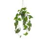 Pianta artificiale Philodendron Scandens, vaso decorativo, 80 cm