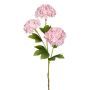 Ramo artificiale palla di neve SKORNE, rosa, 60cm