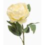 Fiore artificiale peonia IFEOMA, crema, 65 cm