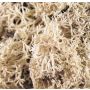 Muschio islandese naturale FINNBJÖRN, naturale, 50 g