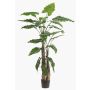 Pianta artificiale Alocasia Sanderiana ALBULA, verde, 180 cm