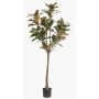 Albero di magnolia Yulan artificiale BELLITA, tronco artificiale, verde-oliva, 150 cm