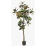 Albero di magnolia Yulan artificiale BELLITA, tronco artificiale, verde-oliva, 180 cm