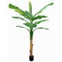 Albero di banano artificiale SCHWANA, 210cm